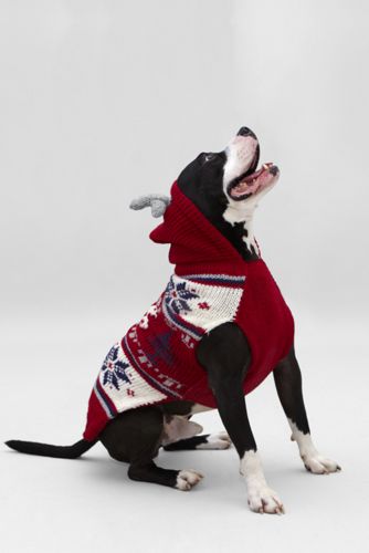 Reindeer Hooded Pet Sweater