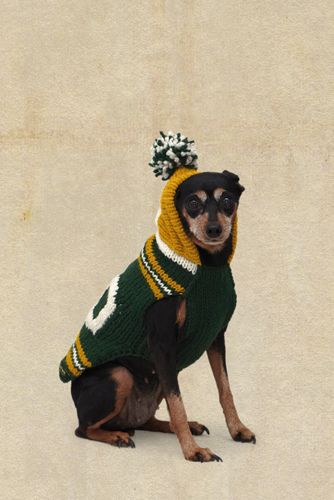 Titletown Hooded Pet Sweater