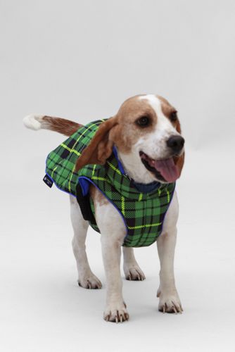 Reversible Down Pet Vest