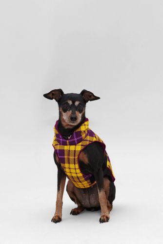Reversible Down Pet Vest
