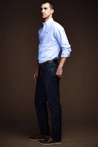 Blue Jay Thumbnail 3