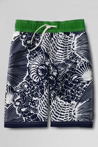 Deep Sea Shells Thumbnail 0