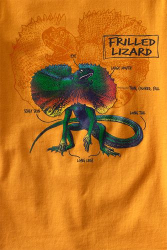 Fresh Mandarin Graphic Thumbnail 1