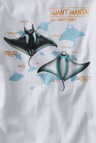 White Manta Ray Graphic Thumbnail 1