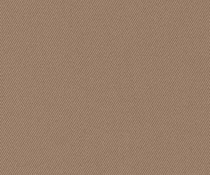 Light Khaki