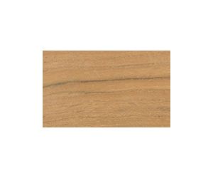 Teak