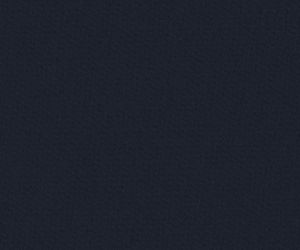 Classic Navy