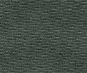 Dark Evergreen
