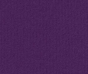 Winter Violet
