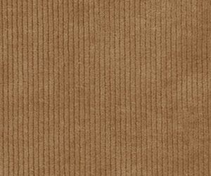 Dark Camel