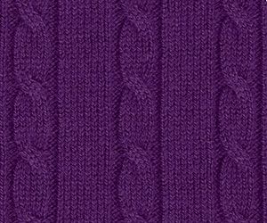 Winter Violet
