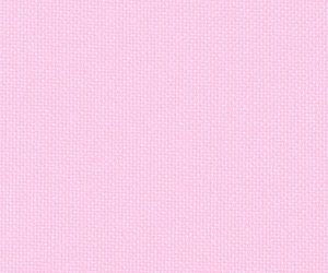 Carnation Pink