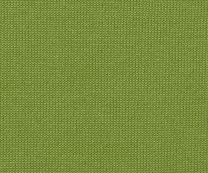 Soft Fern