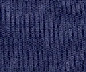 Light Navy