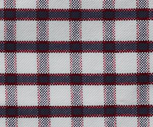 Jester Red Check