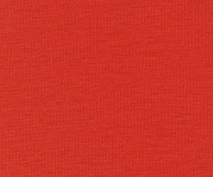 Salsa Orange