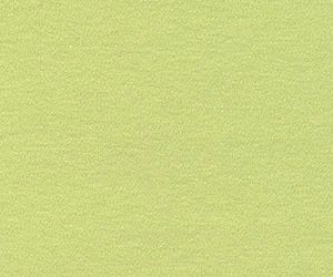 Bright Pistachio