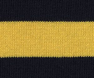 True Navy/Aztec Gold Stripe