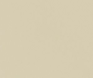 Desert Khaki