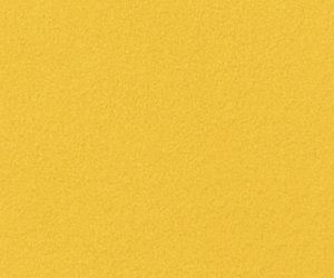Aztec Gold