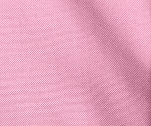 Seaside Pink