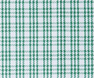 Canvas Green Mini Check