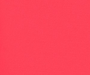 Soft Coral Rose