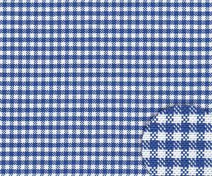 Clear Blue/White Check