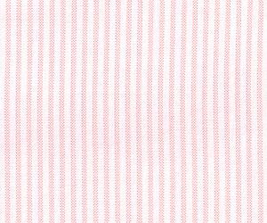 Sandy Pink Oxford Stripe