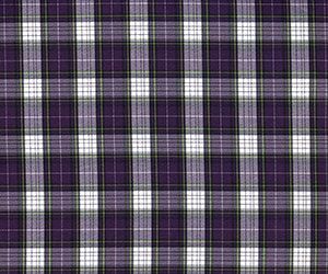 Winter Violet Plaid