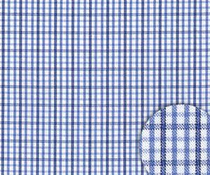 True Blue Mini Check
