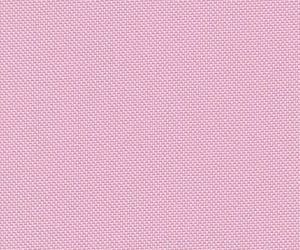 Pink Rose