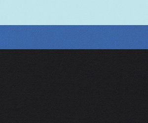 Black/Vista Blue