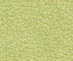 Bright Pistachio