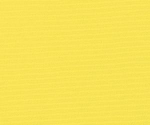 Bright Lemon