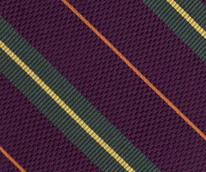 Purple/Green Stripe