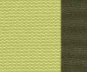 Bright Pistachio/Herb Green