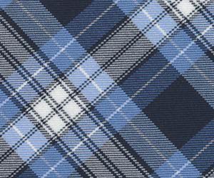Clear Blue Plaid