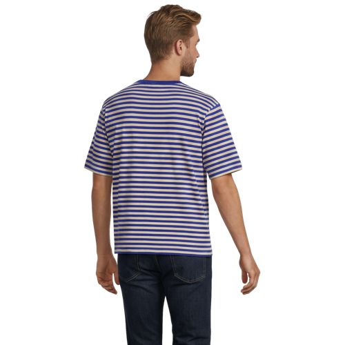 French Blue/Dune Gray Stripe