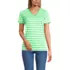 Petite Supima Cotton V-Neck T-Shirt, Front