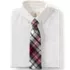 Adult Plaid To Be Tied Tie, alternative image