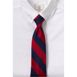 Kids Stripe To Be Tied Tie , alternative image