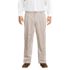 Men's Traditional Fit Pleated No Iron Chino Pants