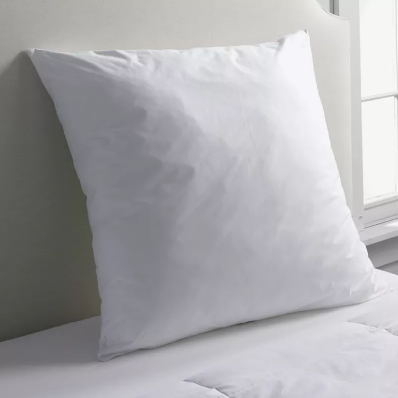 Euro Pillow Insert, Front