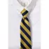 School Uniform Custom DCDS Kids To Be Tied Tie, alternative image