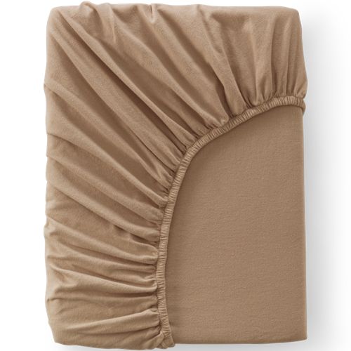 Rich Camel