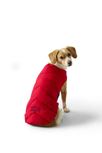 what kind of dog is a corgi