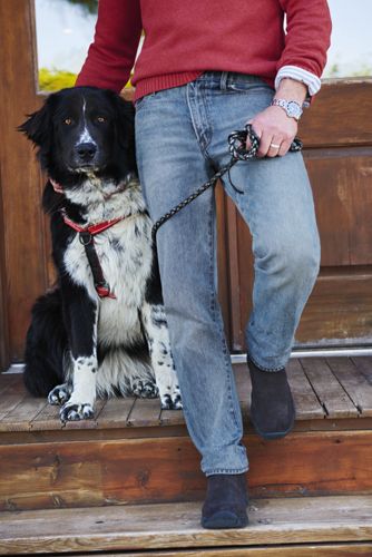 lands end comfort waist jeans