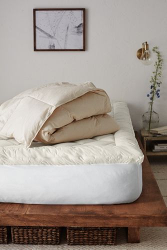 Organic Cotton Down Comforter Lands End