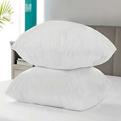 Sensorpedic Microshield Pillow Protector Pair, alternative image
